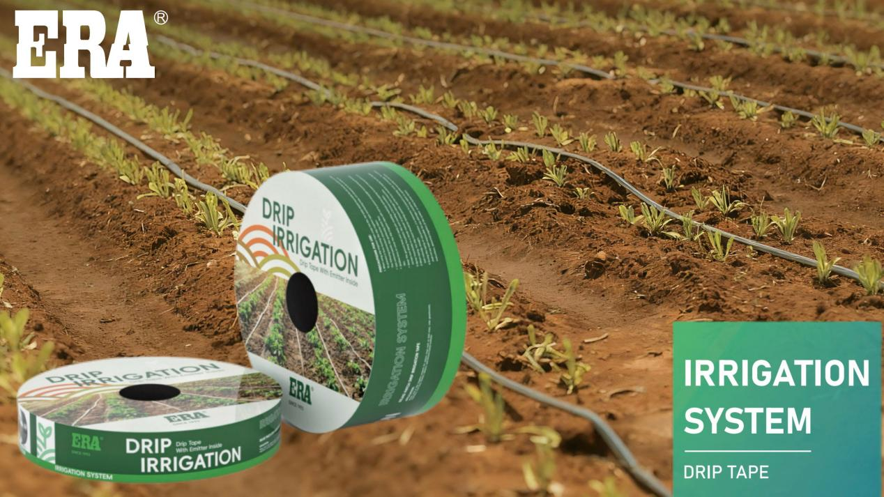 pe drip tapes أشرطة بالتنقيط بي