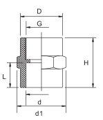 محول أنثى PVC PN10 (NPT BSPT)