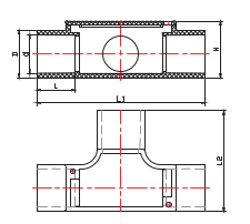 نقطة التفتيش على القناة